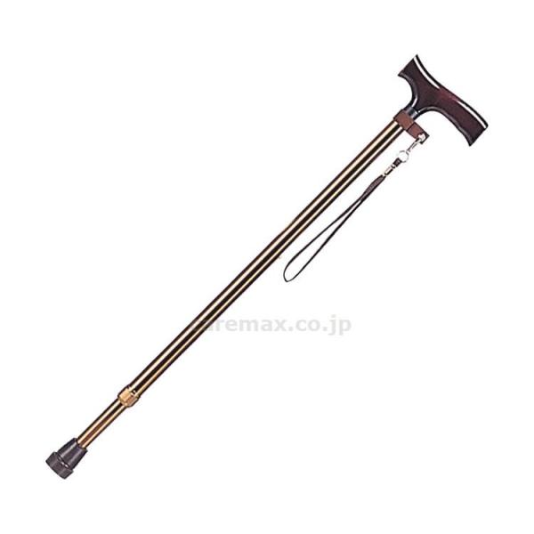 y@lE{݌EʓrzA~x[VbNLk/MRA-01111uE(cm-220400)[1{]