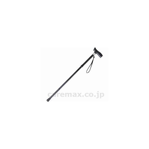 (W1671)CgtXebLuuvII܂肽݃^Cv/SA-2002ubN(cm-322470)[1{]