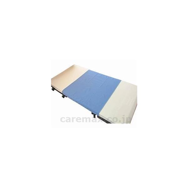 (U0482)ۑϔMfjhV[c/2022(cm-323385)[1]