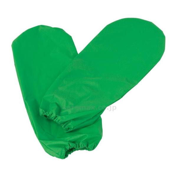 (P0285) ̈UO[u / CX-04001 21g(cm-351211)[1g]