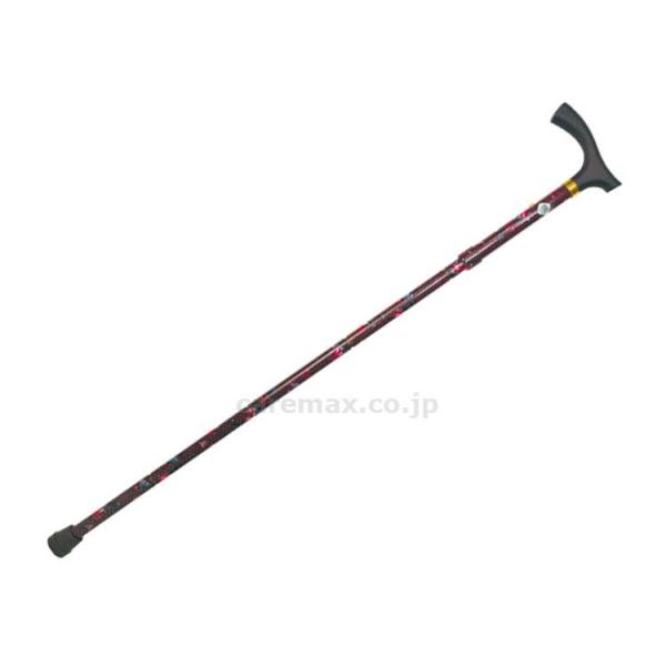 y@lE{݌Eʓrz(W2049)RpNgvgXebL 5܂肽4iK / 895WR o̍(cm-351559)[1{]