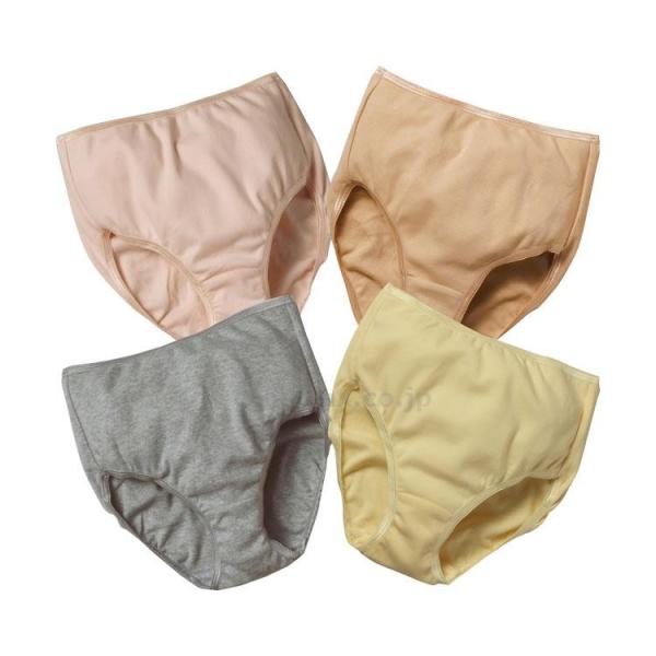 100[΂炩X[X҃V[c 4Fg / 5L(cm-351686)[̔P:1]