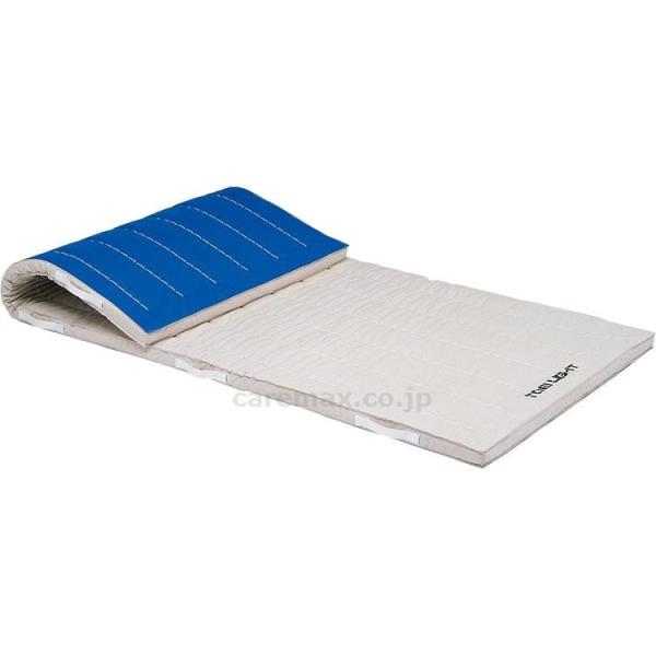 RۃRrl[V}bg6cmi6zjׂ~ߕt/T-1295120×300cm(cm-362740)y̔P:1z