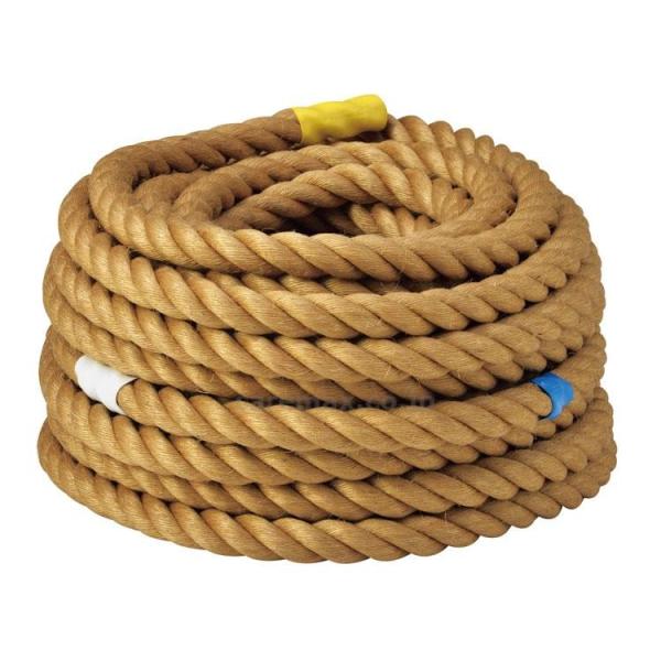 Zpj[v36mm/B-3934(cm-364709)y̔P:1z