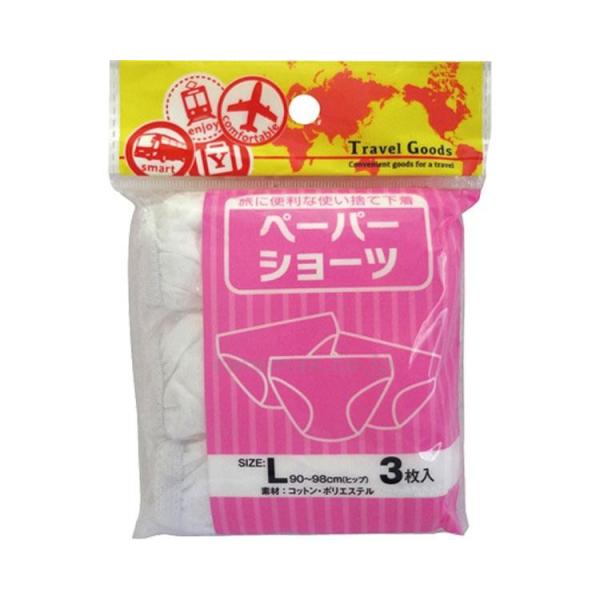 y@lE{݌Eʓrzy[p[V[c / 3 L(cm-417559)[P[X(6)]