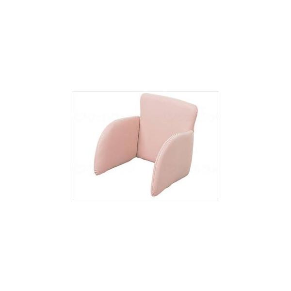 yʓrzItBXE{s^bgNbV@PT-CS-KUԈ֎qp sN(wf-583105-2)yPʁF1z