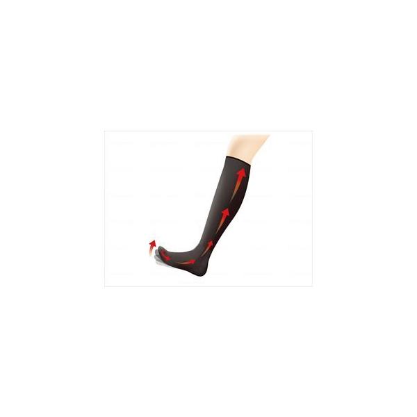 R[|[Vp[X^[ނݑ΍C  22-23cm(wf-652011-3)yPʁF1z