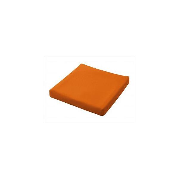 {WFs^EV[gNbV55 IW 55(wf-976005-1)yPʁF1z