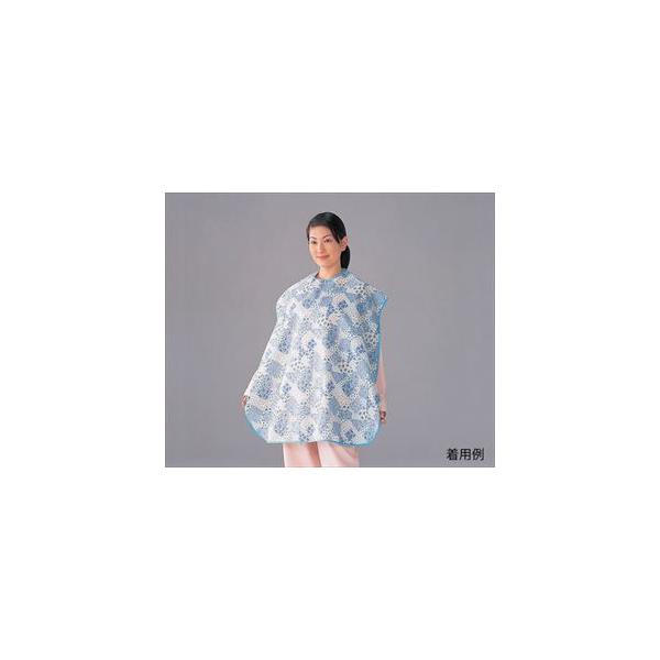 0-5213-12 HpGv u[ԕ y1z(as1-0-5213-12)