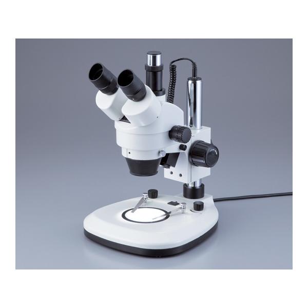 AY1-1925-02Y[̌iLEDƖtjboVSTOyz(as1-1-1925-02)