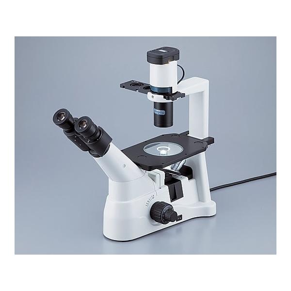 AY1-1929-11|40`600×yz(as1-1-1929-11)