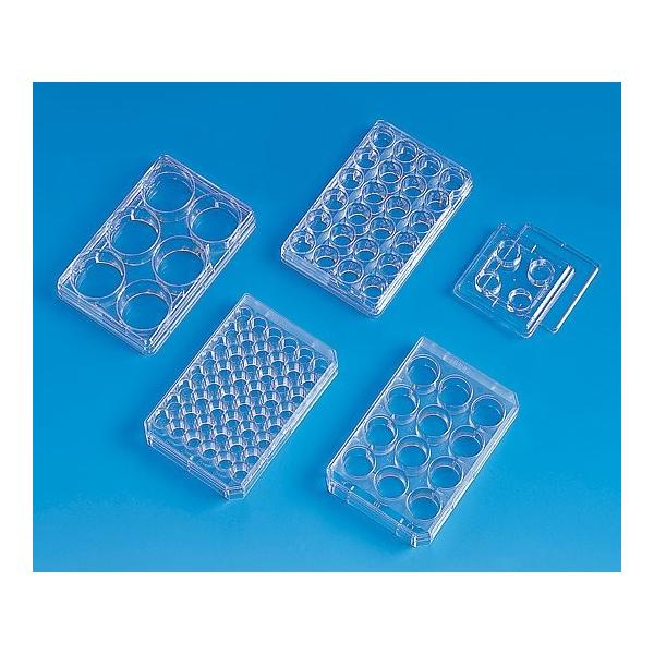 ThermoFisherScientific2-5464-03}`fBbVی^i12EFjyz(as1-2-5464-03)