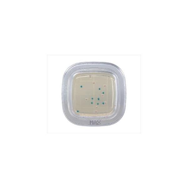 [①][①]hw2-6430-41 ؂`FbN?DD MAXV|n PD0007[1(20)](as1-2-6430-41)