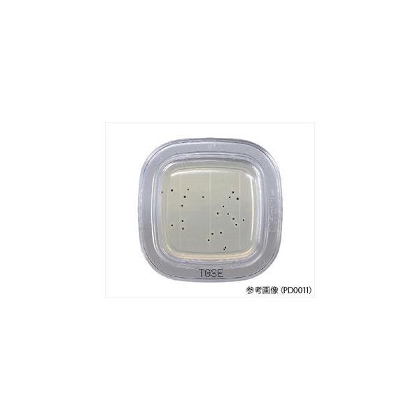 [①][①]hw2-6430-44 ؂`FbN?DD TGSEV|n PD0012[1(100)](as1-2-6430-44)