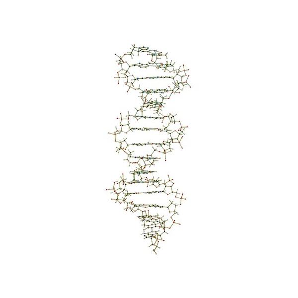 3-9228-02 DNAERNAq͌^ p ݉^DNAq͌^gLbg W19800y1Zbgz(as1-3-9228-02)