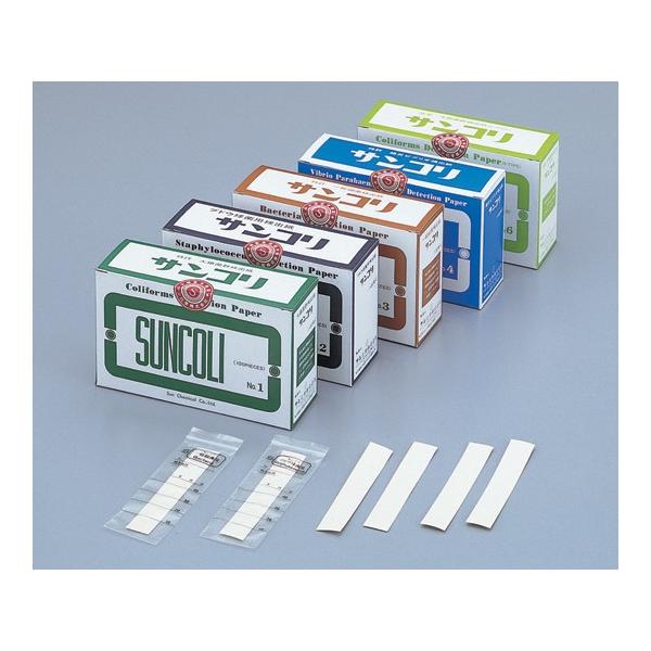 Tw6-9517-06TŋۖȖ_y܁z(as1-6-9517-06)