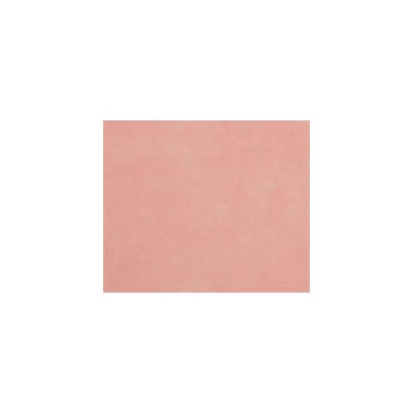 7-855-02 fBX|hJ[e ʃt@Xi[155 sN y1z(as1-7-855-02)