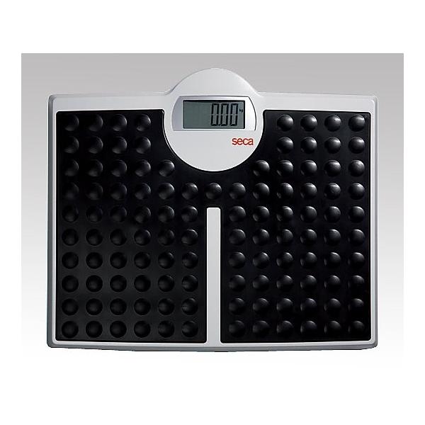 seca8-1961-01fW^tbgXP[WPRyz(as1-8-1961-01)