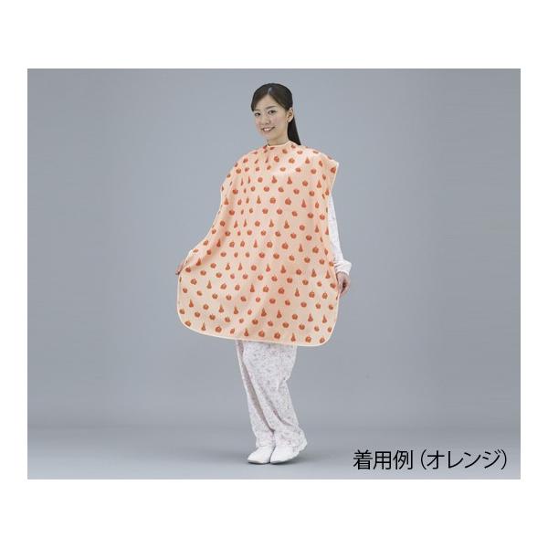 8-2908-05ϋvɗDꂽHpGvip[vjyz(as1-8-2908-05)