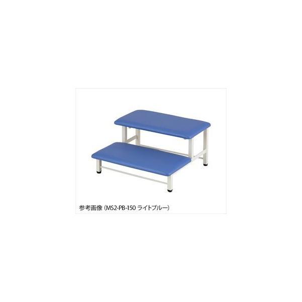 9-1704-02 ~jݑ 2i 560×595×300mm CO[ MS2-LG-150y1z(as1-9-1704-02)