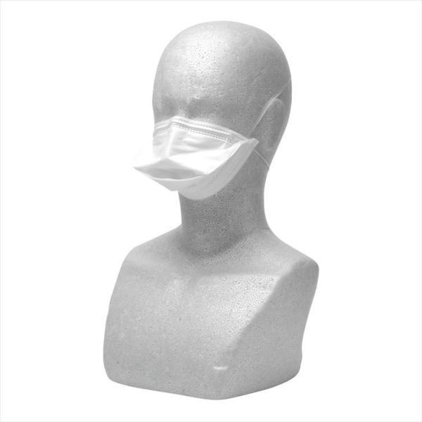 Taketora 竹虎 N-95 折り畳み式 マスク M 50枚入5箱セット Amazon.co.jp: 竹虎 サージマスクN-95(折りたたみ式) Mサイズ 50