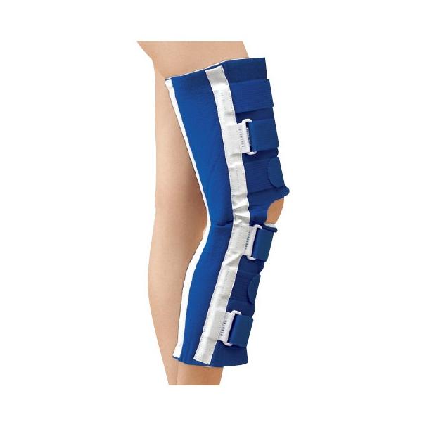 j[u[XEewiRkj 12861(1RC) j[u[XEFX(3L)(23-5944-00)y1Pʁz