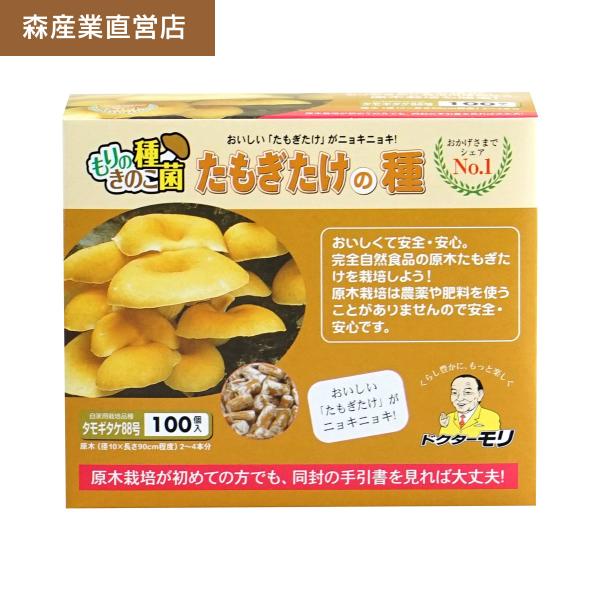 森のきのこ倶楽部 【完売】たもぎたけ 種駒 100個 【正規販売店 森のきのこ倶楽部 【完売】たもぎたけ 種駒 100個 【正規販売店