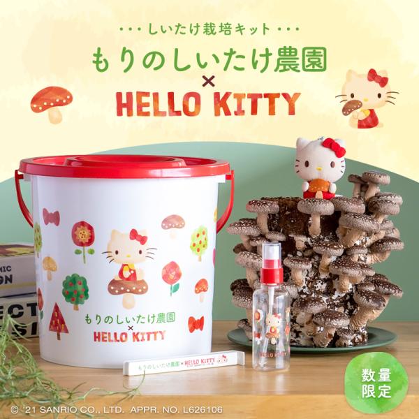 【正規販売店】しいたけ栽培キット／もりのしいたけ農園×HELLO KITTY | 椎茸 シイタケ 家庭菜園 国産 食育 きのこ狩り ハローキティ キティちゃん サンリオ