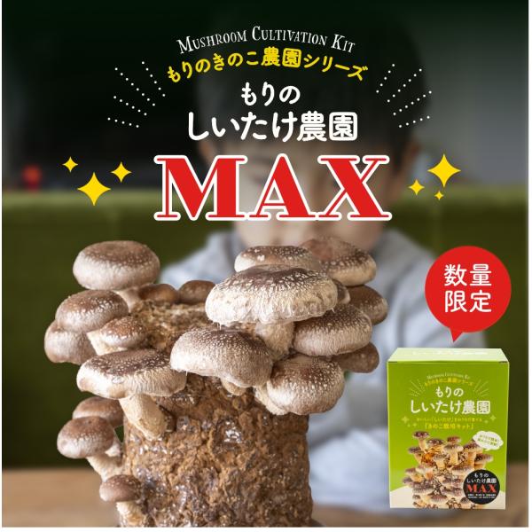 大人気しいたけ栽培キット「もりのしいたけ農園」に新しいコンセプトの新商品！特別な品種を使っているので間引きをしなくても大きな椎茸が育ちます。国内トップシェアのきのこ種菌メーカー「森産業」の安心・安全なきのこ菌と原料を使用。通常版をお試しいた...