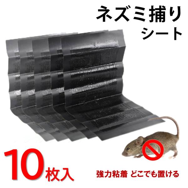 ネズミ捕りシート 10枚セット 60×28cm 強力粘着 ネズミ駆除 フィルム 黒 シート 折りたたみ 収納可 簡単 設置 回収 ねずみ 捕獲 香り付き 家 室内 倉庫 家庭用