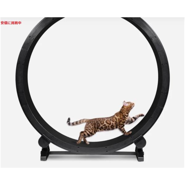 Amazon | キャットホイール 猫 キャットホイール 静音 猫 運動