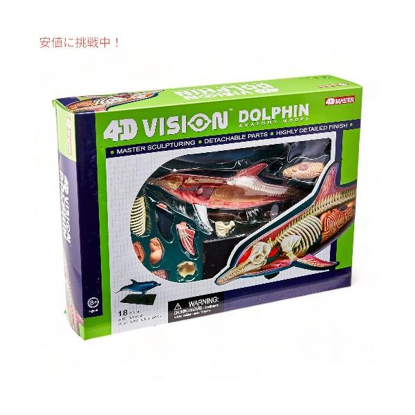 ヒト皮膚解剖モデル Tedco4Dビジョン【組み立て済完成品】 ヒト皮膚