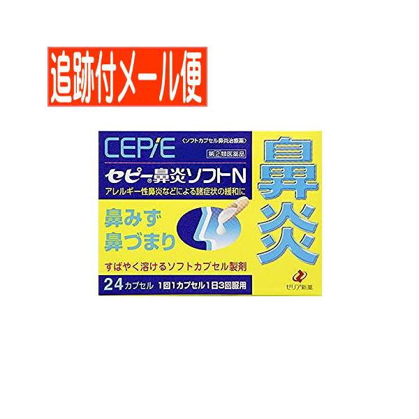 他サイト： 【メール便送料無料】【第(2)類医薬品】セピー鼻炎ソフトN 24カプセルの商品画像