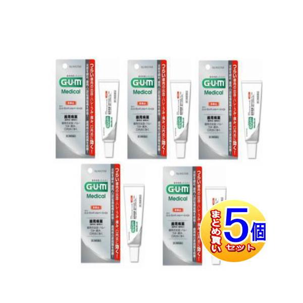 効能・効果 歯周病（歯肉炎・歯周炎）に伴う諸症状（歯肉の出血・発赤・はれ・うみ・痛み・むずがゆさ，口のねばり，口臭）の緩和，口内炎効能関連注意 用法・用量 歯周病（歯肉炎・歯周炎）：1日2回（朝・晩）ブラッシング後，適量（約0.3g）を指又...