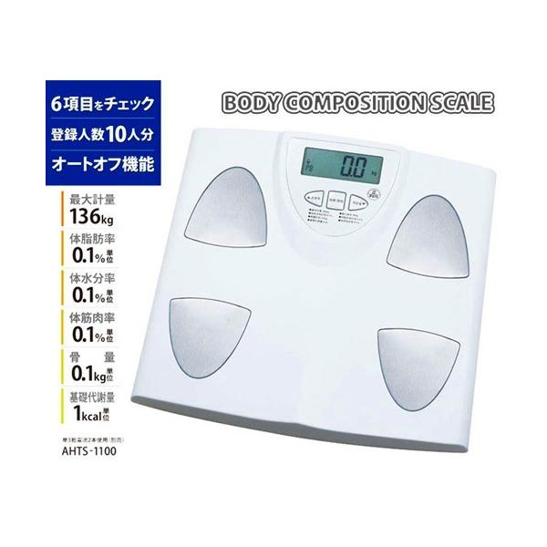 AgX@̑gvwX[^ [@AHTS-1100