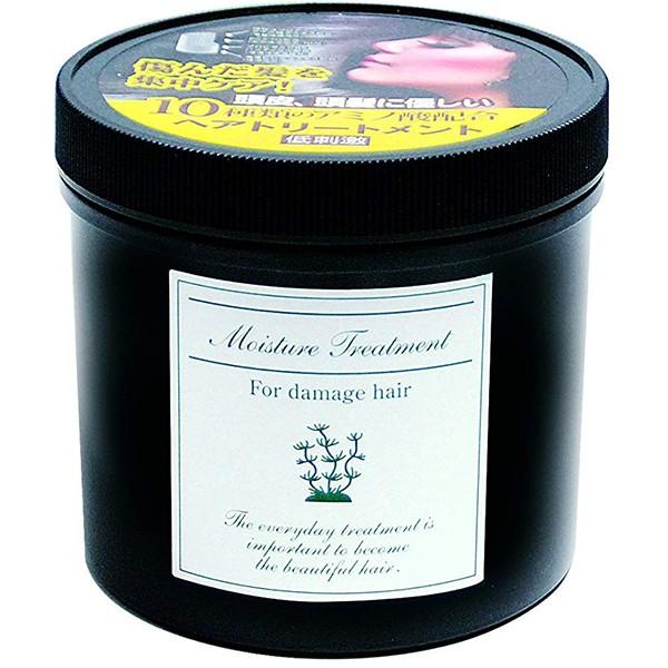 有限会社けわいや(KEWAIYA) Dモイスチャートリートメント 800g