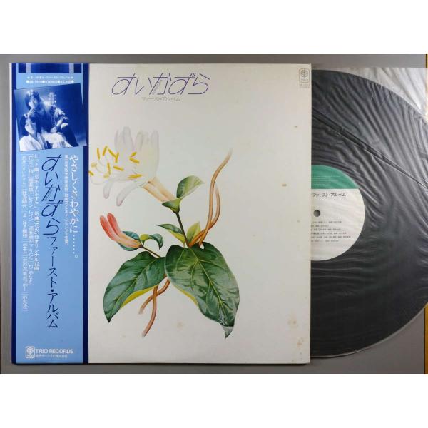【中古ＬＰレコード 12inch】【ス】すいかずら(すいかずら)/ファースト・アルバム