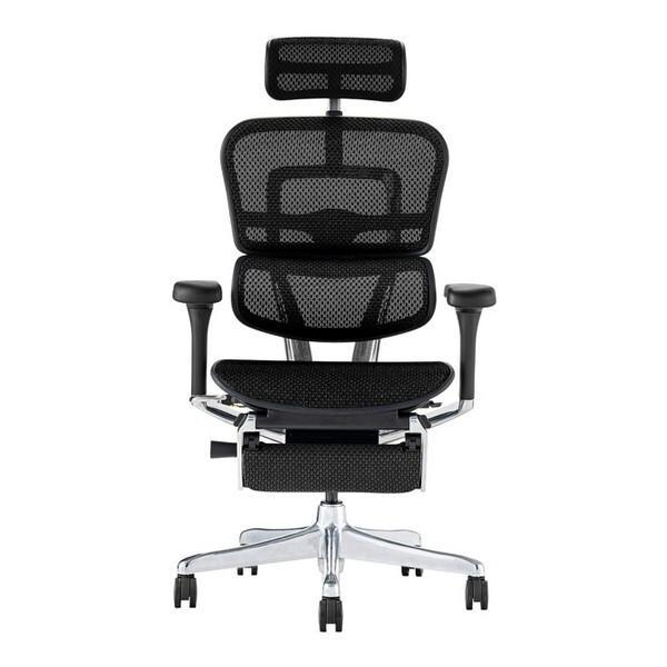 関家具　エルゴヒューマン Ergohuman 新基盤モデル エルゴヒューマン2 プロオットマン ブラックフレーム EHP2-LPL-DR-BF-BK ブラック　445396