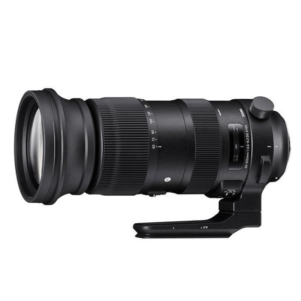 SIGMA シグマ 60-600mm F4.5-6.3 DG OS HSM Sports 望遠ズームレンズ