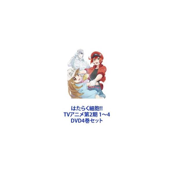 はたらく細胞!! TVアニメ第2期 1〜4 [DVD4巻セット] : ぐるぐる