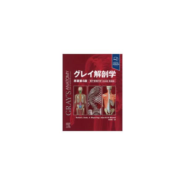 グレイ解剖学