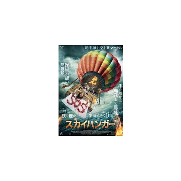 スカイハンガー [DVD]