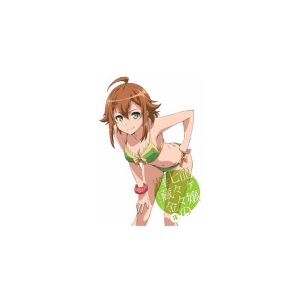 龍ヶ嬢七々々の埋蔵金 3（通常版） [DVD]