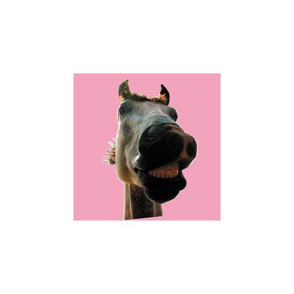 ↑THE HIGH-LOWS↓ / Do!!The★MUSTANG（完全生産限定アナログ盤） [レコード]