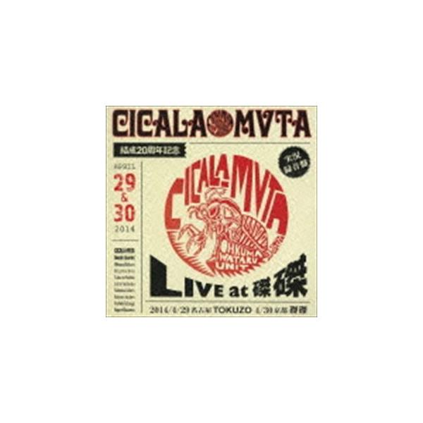 CICALA-MVTA結成20周年記念 LIVE at 磔磔/シカラムータ[CD]【返品種別A】