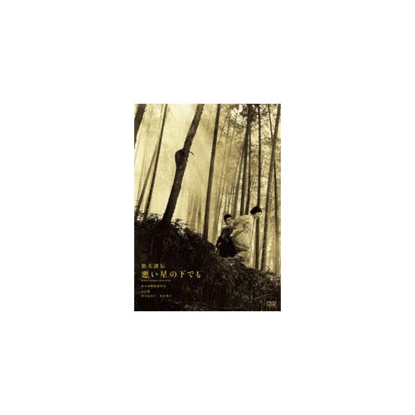 鈴木清順生誕100周年記念シリーズ 悪太郎伝 悪い星の下でも [DVD]