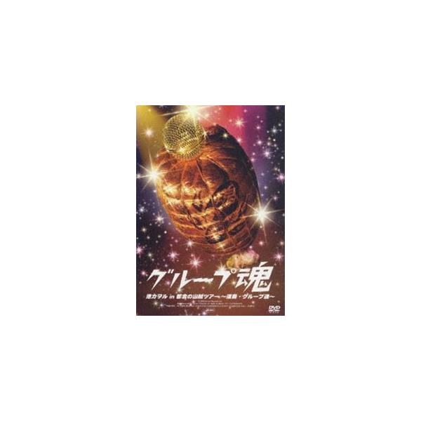 港カヲル in 都会の山賊ツアー〜演奏・グループ魂〜 [DVD]