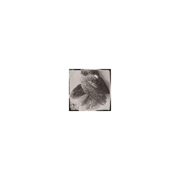 グリッサンド / ザ・ワールドウィズアウト・アス [CD]