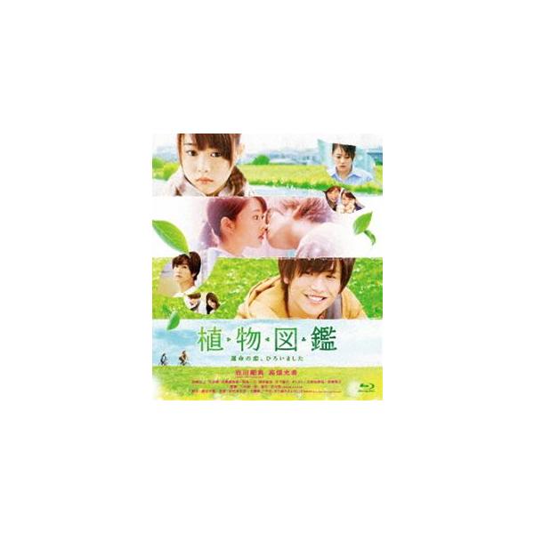 植物図鑑 運命の恋、ひろいました（通常盤） [Blu-ray]