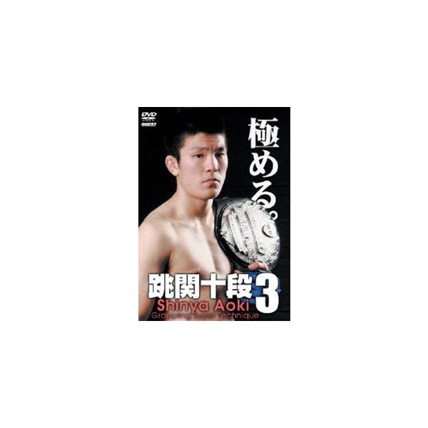 青木真也 跳関十段3 [DVD]